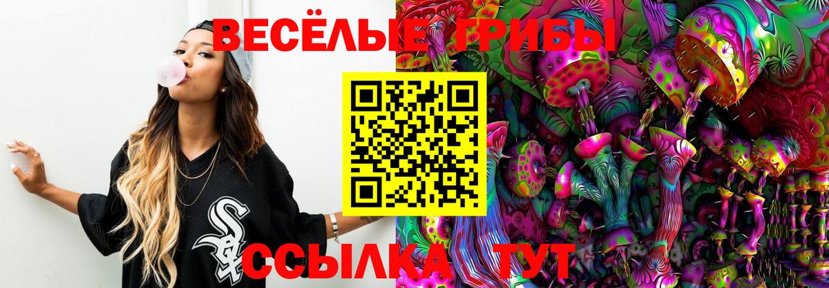 Псилоцибиновые грибы мицелий Чебаркуль