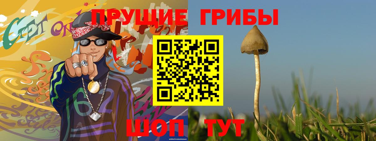 где купить   Псилоцибиновые грибы Psilocybe  Вход с VPN  Чебаркуль 