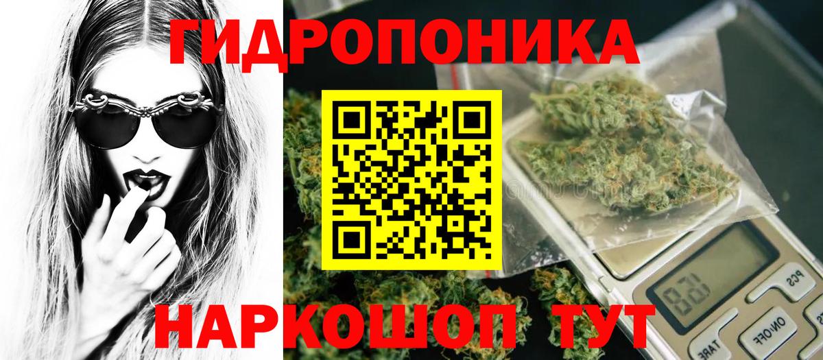 Каннабис семена  Бошки Шишки VHQ  Марихуана конопля  Чебаркуль  Шишки марихуана Amnesia  Вход с VPN 